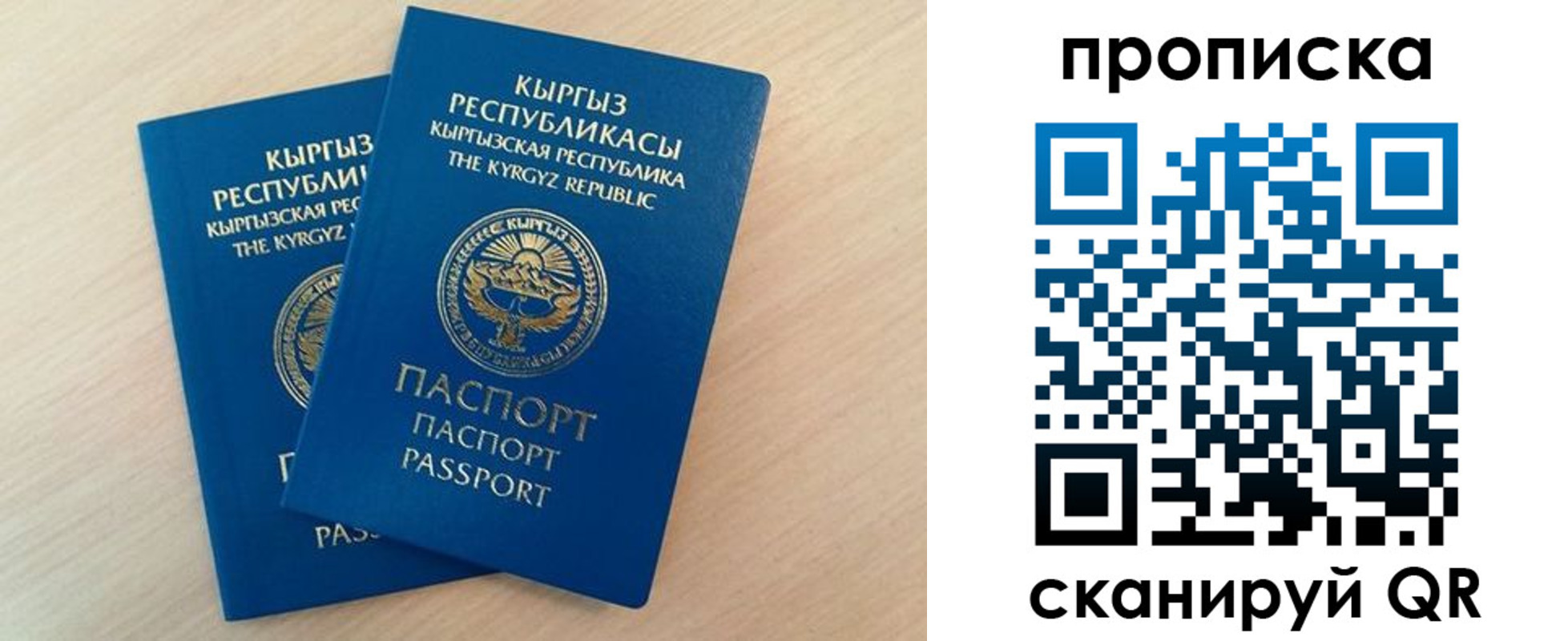 прописка поиск в Саратове